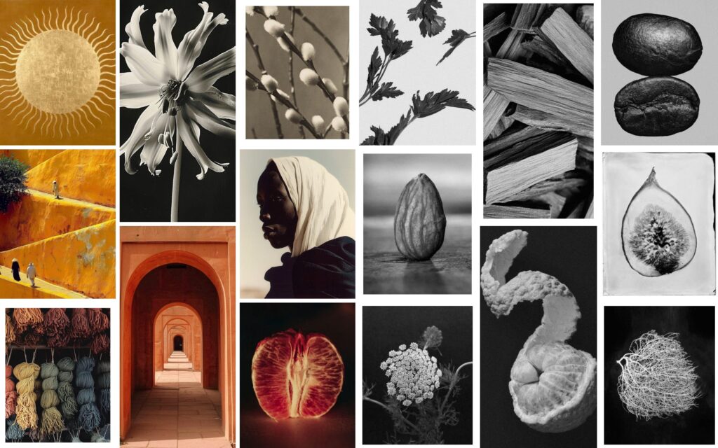 From Fragrance Inspiration To Form: The Creative Vision Behind Nomad