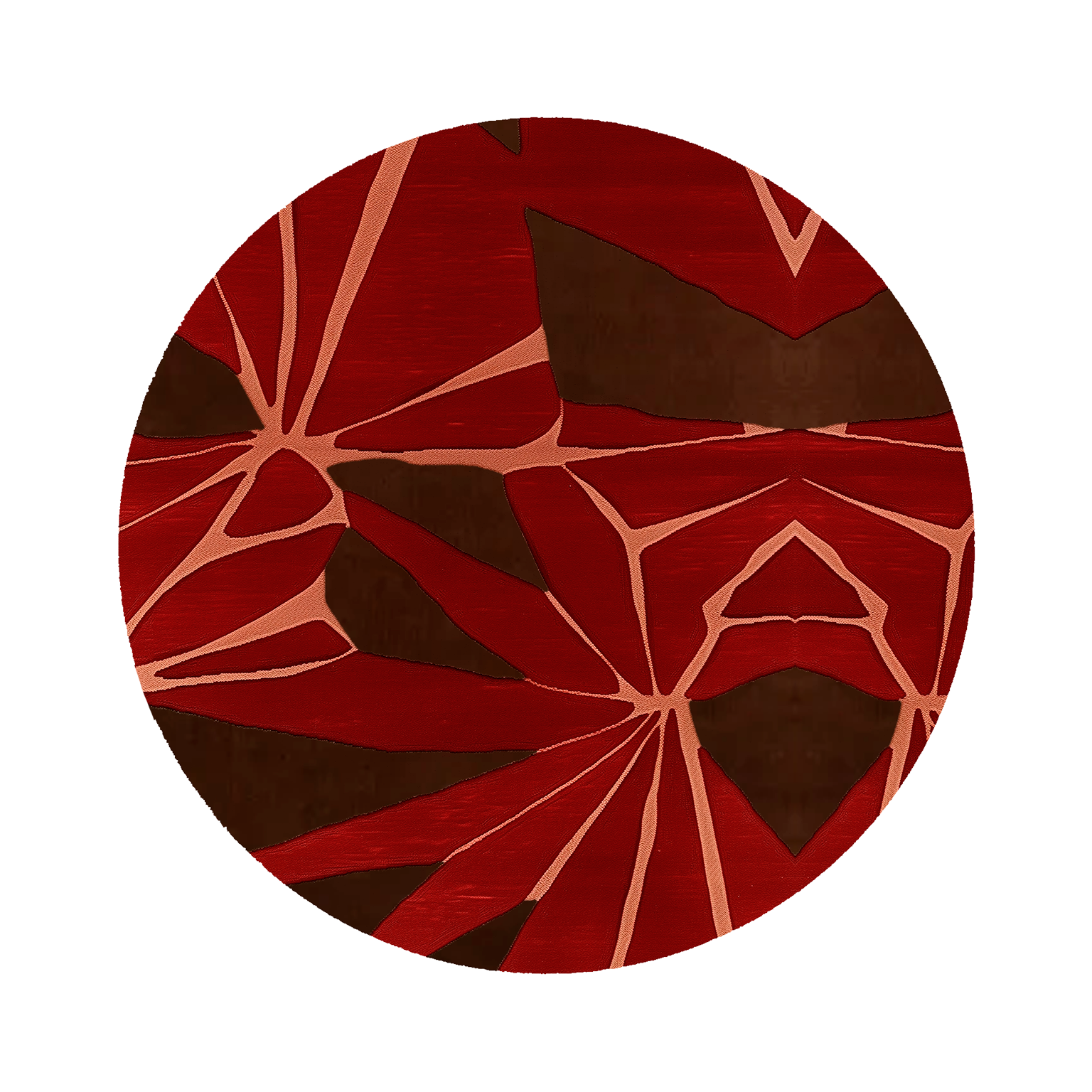 Living Room Rugs — Ebook Guide Living Room Rugs by TAPIS Studio